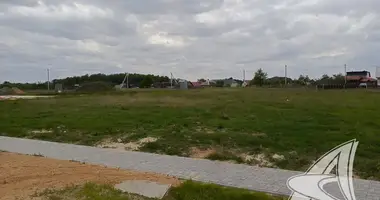 Terrain dans Vidamlianski sielski Saviet, Bélarus