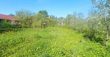 Plot of land in Gatchinskoe gorodskoe poselenie, Russia