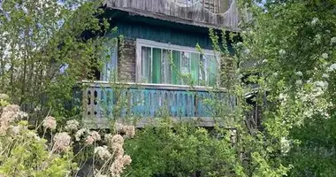 House in Krapivienski sielski Saviet, Belarus