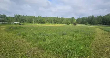 Terrain dans Haranski sielski Saviet, Bélarus