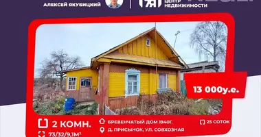 Haus in Pliski sielski Saviet, Weißrussland