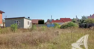 Terrain dans Muchaviecki sielski Saviet, Bélarus