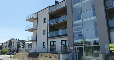 Propriété commerciale 54 m² dans Tarnowo Podgorne, Pologne