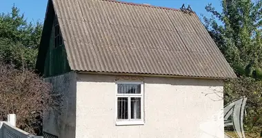 House in Zabinkauski sielski Saviet, Belarus