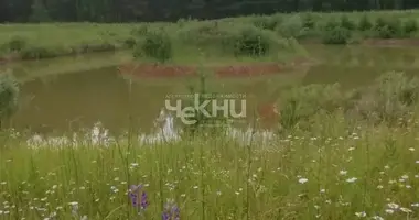 Terrain dans Kuzhutskiy selsovet, Fédération de Russie