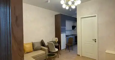 1 Bedroom Apartment for Rent in Tbilisi en Tiflis, Georgia