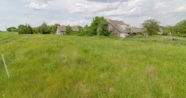 Plot of land in Dailides, Lithuania