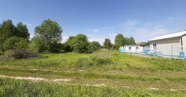 Haus in Navadvorski sielski Saviet, Weißrussland