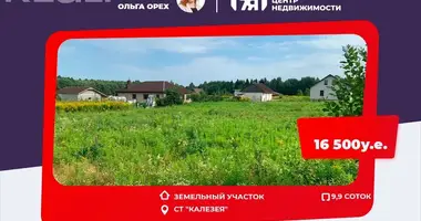 Grundstück in Jzufouski sielski Saviet, Weißrussland