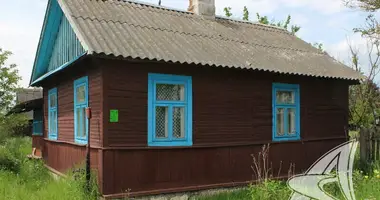 House in Rakitnica, Belarus