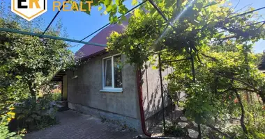 House in Telminski sielski Saviet, Belarus