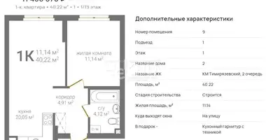 Apartment in Nizhny Novgorod, Russia