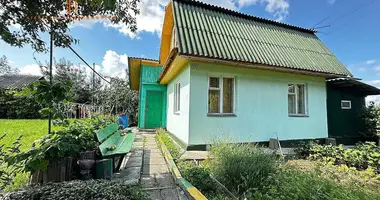 House in Rakauski sielski Saviet, Belarus