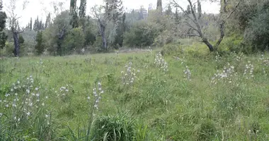 Plot of land in demos kerkyras, Greece