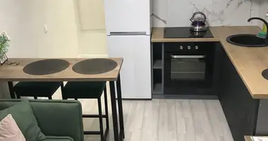 2 room apartment in Minsk, Belarus