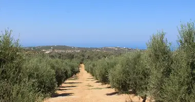 Terrain dans Sfakaki, Grèce