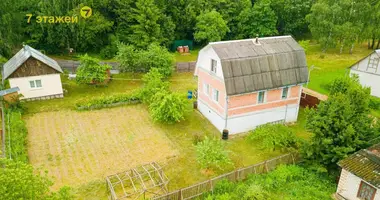 House in Aliachnovicki sielski Saviet, Belarus