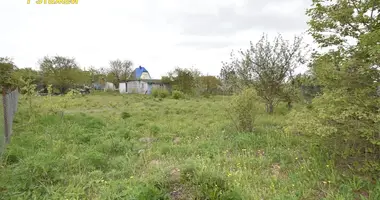 Maison dans Drackauski sielski Saviet, Bélarus
