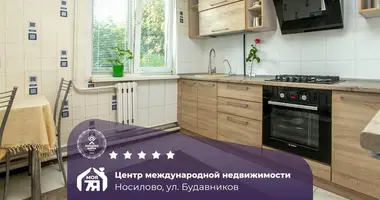 Haus in Nasilava, Belarus