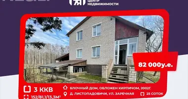 House in Starobinski sielski Saviet, Belarus