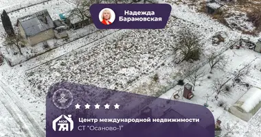 Участок земли в Лебедевский сельский Совет, Беларусь