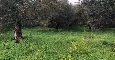 Plot of land in Neo Chorio, Greece
