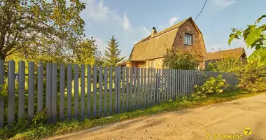 House in Lasanski sielski Saviet, Belarus