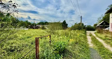 Plot of land in Aziaryckaslabadski sielski Saviet, Belarus