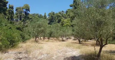 Grundstück in Moles Kalyves, Griechenland