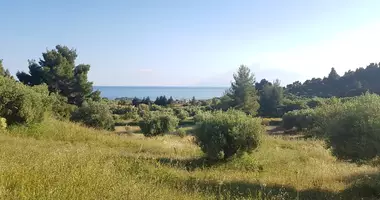 Terrain dans Nea Skioni, Grèce