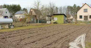 House in Matykalski sielski Saviet, Belarus