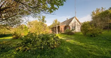 House in Leipalingis, Lithuania