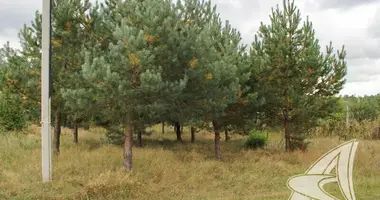 Grundstück in Malyja Radvanicy, Weißrussland