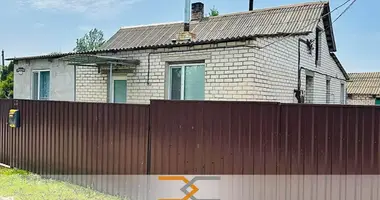 Дом в Селище, Беларусь