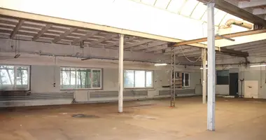 Boutique 526 m² dans Mosina, Pologne