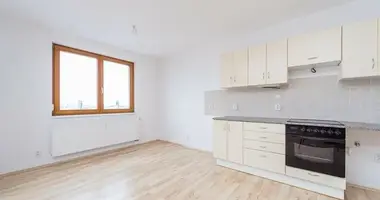 3 bedroom apartment in Prague, Czech Republic