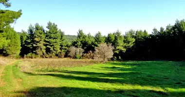 Terrain dans Kourkouli, Grèce