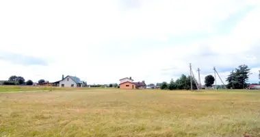 Grundstück in Druscheniken, Litauen