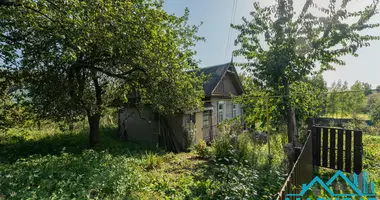 Haus in Minsk, Belarus