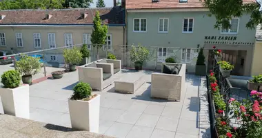 Apartamento en Gemeinde Baden, Austria