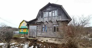 House in Losnica, Belarus