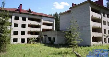 Bureau 3 000 m² dans Aziaryckaslabadski sielski Saviet, Biélorussie