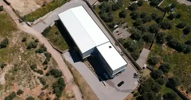 Propriété commerciale 1 311 m² dans Municipality of Agioi Anargyroi-Kamatero, Grèce