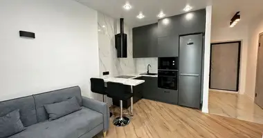 2 room apartment in Minsk, Belarus