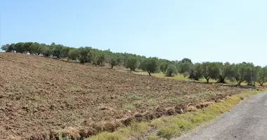 Участок земли в Makrigialos, Греция
