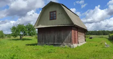 Plot of land in Maisiejeuscynski sielski Saviet, Belarus