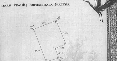 Участок земли в Равнополье, Беларусь