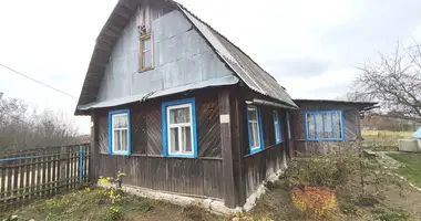 House in Uzliany, Belarus