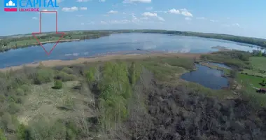 Plot of land in Antalausiai, Lithuania