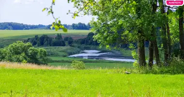 Plot of land in Slamai, Lithuania